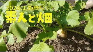 「素人と畑」2026.1.臨時号③