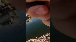 Jigs Catch BIG BASS!