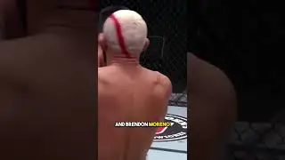 The fight that saved the UFC flyweight division