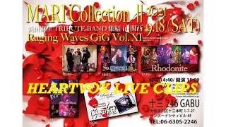 ［浜田麻里カバー］246 LIVEHOUSE GABU '21.9.18／増田麻里／HEARTVOX LIVE CLIPS