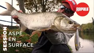 Session: aspe en surface