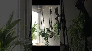 Unique Ideas To Display Indoor Plants Beautifully #indoorplants #interiordesign #youtubeshorts