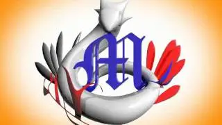 maxilogo.flv