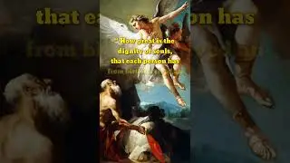 Quote From St. Jerome/English.