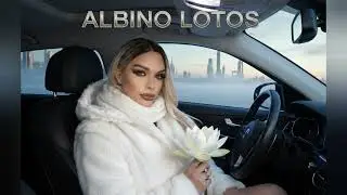 BELLADONNA - ALBINO LOTOS (Official Video 2026) 
