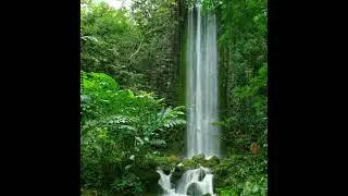River stream with birds criping for sleeping (30 minute)
