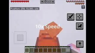 WR Farthest Distance Fallen on Pig *100,000 Blocks*