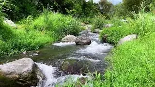 Tranquil River Flow &ndash; 10 Hours of Water ASMR  - Stress, Anxiety Relief & Meditation Sounds