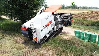 Incredible Safety Operator Combine Harvester Kubota Working Skills | Rice Cutting Machine Crop Tools