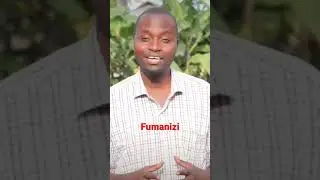 FUMANIZI     #cloudstv #diamondplatnumz #simulizinasauti #dizzimonline #maizumo #wasafi #mboso