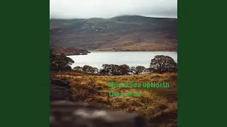 Up The Pike