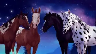 Buying the NEW Appaloosa Horses and Review! ~ [SSO] Star Stable Online