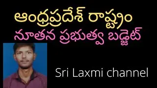 ANDHRA PRADESH STATE BUDGET 2020-21