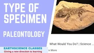 Type of specimen ||Paleontology||by Earthscience Classes