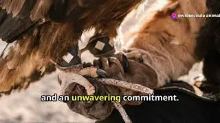 The Art of Falconry: Tunisia's Ancient Hunting Tradition