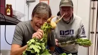 Quality Ingredients
