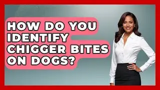How Do You Identify Chigger Bites On Dogs? - Exploring Campgrounds