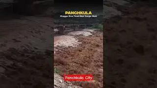 panchkula #ghaggar #river #flood