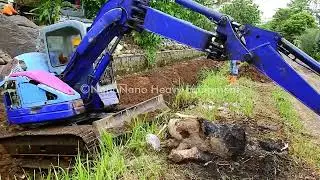 Komatsu PC50UU digging moving clay and then climbing up to the upper road