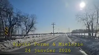 24 janvier 2026 /10h06/ #mirabel #quebec #canada #ferme #farm #animals  #animaux #miel #érable 