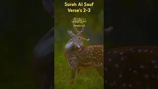 Surah Al Sauf Verse's 2-3 #edm