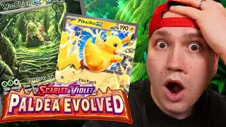 Mets&auml;stet&auml;&auml;n mun CHASE KORTTEJA! | Paldea Evolved booster box 2/3