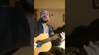 Blaze Foley Moonlight Song #Acoustic #Texas #FingerPicking #Country #FrauliniGuitars