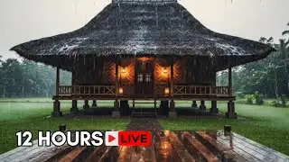 12 HOURS LIVE 🌧️ Heavy Rain on a Cozy Traditional House | Deep Sleep, Relaxing ASMR
