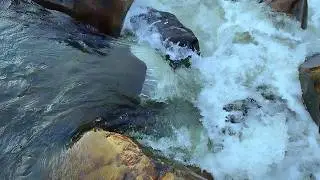 Scenic Beauty of Jharkhand⛳🏞️ &bull; Cathelo Exploration &bull; relaxing music