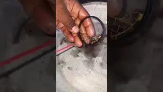 Intake ring clean #throttlebody #tecnician #automobile #shortfeed #mechanic #carparts  #trending