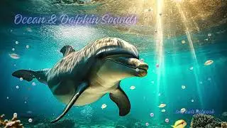 Ocean & Dolphin Sounds | Sleep Music for Kids