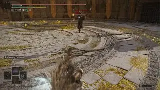 ELDEN RING kumite