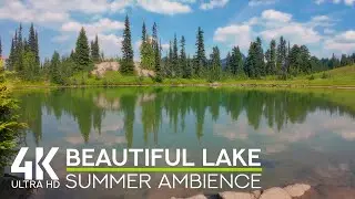 4K Summer Ambience of a Beautiful Lake at Naches Peak | Relaxing Bird Songs & Gentle Water Sounds