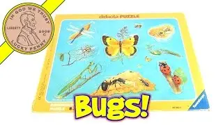 Insects & Bugs Didacta Frame Tray Puzzle# 060436 1991 Ravensburger Puzzle