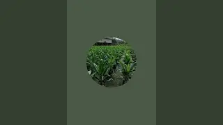PETUALANG BERILMU TANI MODAL,,,BERTANI,, INVESTASI DAN UNTUNG GEDE,,,,,,,,
