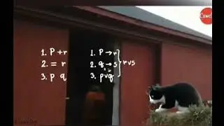 Miscalculated cat 😺 #funnypets #cutepets #dogandcat #funnydogs #catmakeup #cuteanimals