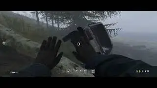 One of those DayZ (no sound)