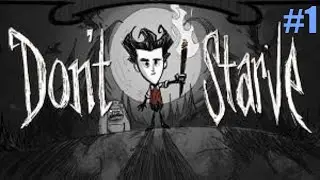 A Rough Start. | Don't Starve #1