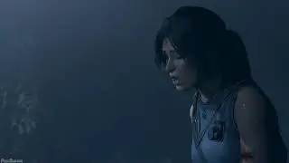 Shadow of the Tomb Raider Stealthkills 1080p/60fps