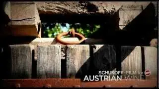 Austrian Wine Loop (short selection)