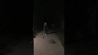 Shiny scooter