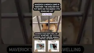 Maverick & Monica on March 17 deadline list