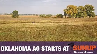 Planting bermudagrass (5/12/18)