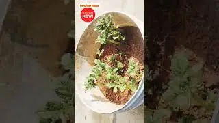 Organic Potato harvest experiment at first time in my garden #potato #harvest #harvesting
