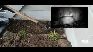 Contactless Animal Removal | Remove Raccoons, Skunks, Opossums just like Pest Control Companies!