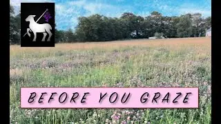 Problems with Grazing Sheep and Goats | What to Know!