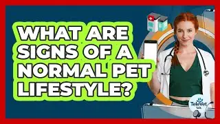 What Are Signs of a Normal Pet Lifestyle?