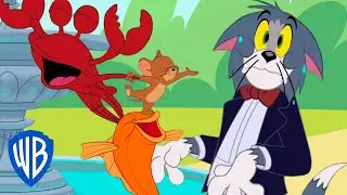 Том и Джерри | Злой краб | WB Kids