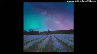 [FREE] Cinematic Sci-Fi/Suspense AMBIENCE