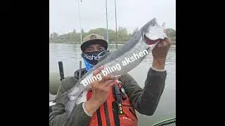 coastal river #coho #salmon #akshen #pnw #upperleftusa #guamkayakfishingteam #kayakfishing